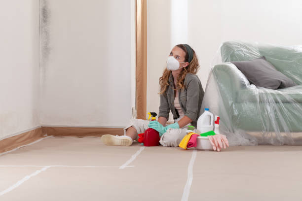 Reliable Mold Removal contractor in Ledgewood, NJ by WQB Mold Removal